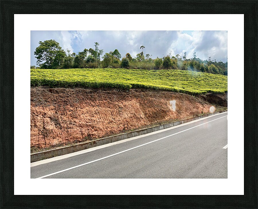 Tea by the Road Picture Frame print