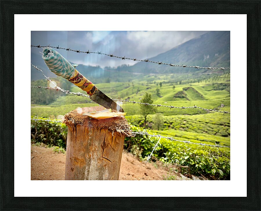 Coconut Knife Picture Frame print