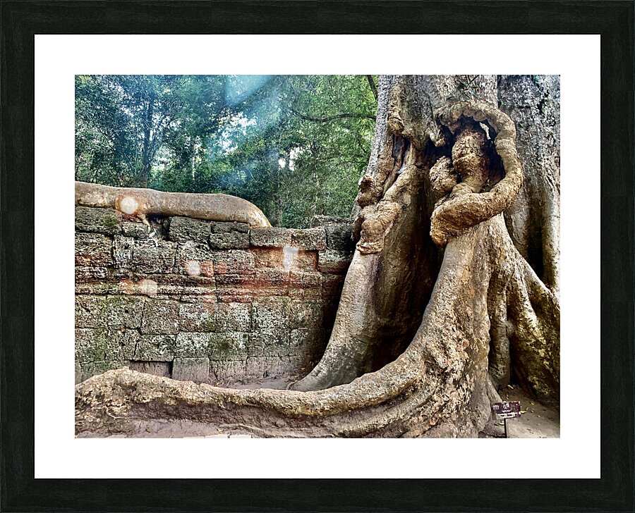 Temple Tree Picture Frame print