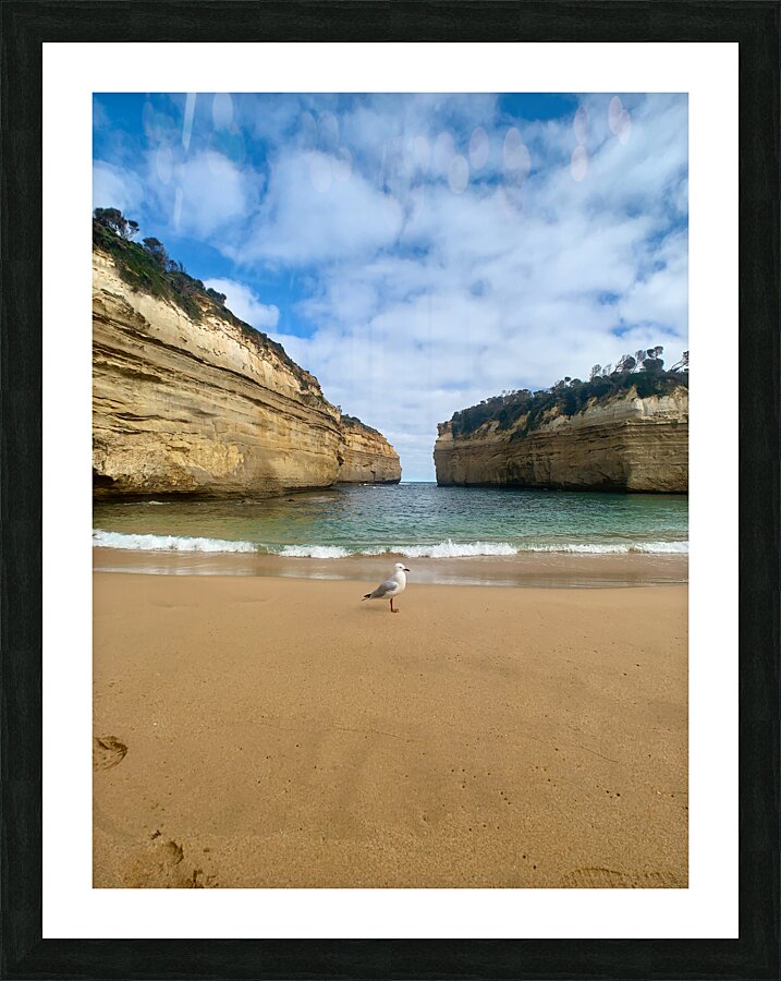 Bird on the Beach Picture Frame print