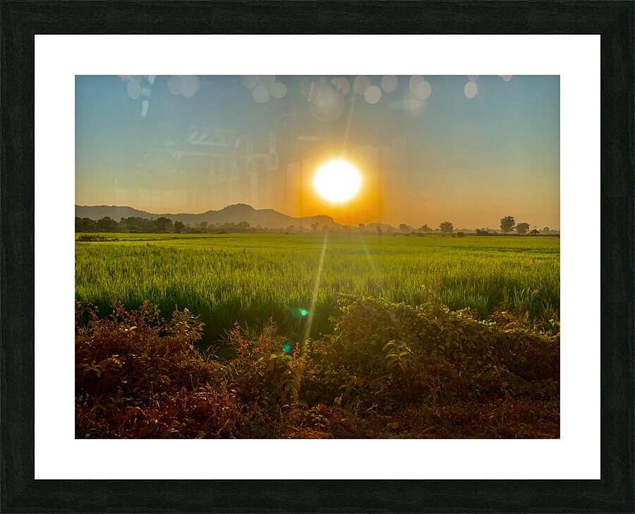 Sunset Over the Field Picture Frame print