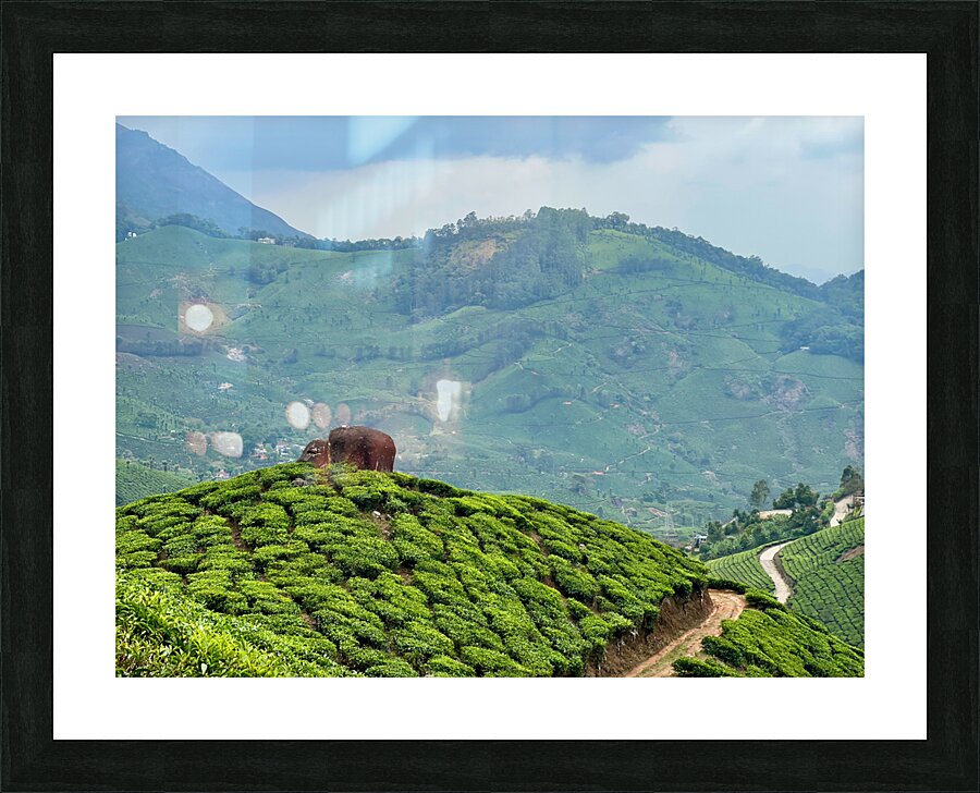 Rock on Top of Tea Picture Frame print