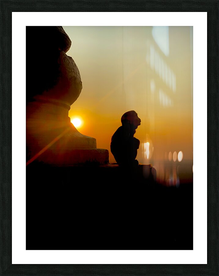 Enlightened Monkey at Sunset Picture Frame print