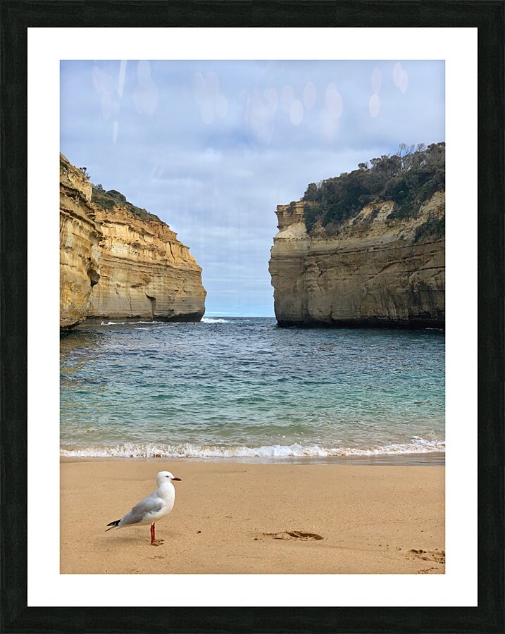 Bird on the Beach 2 Picture Frame print