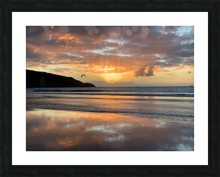 Amazing Sunset with Bird Picture Frame print