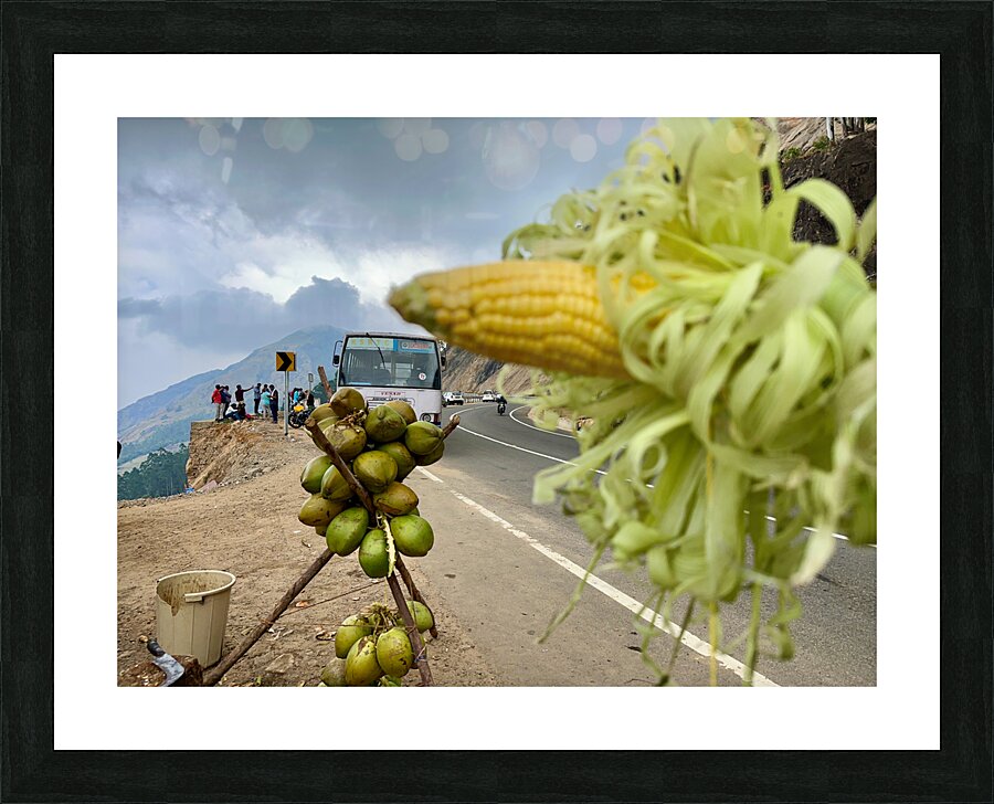 Corn  Coconuts Picture Frame print