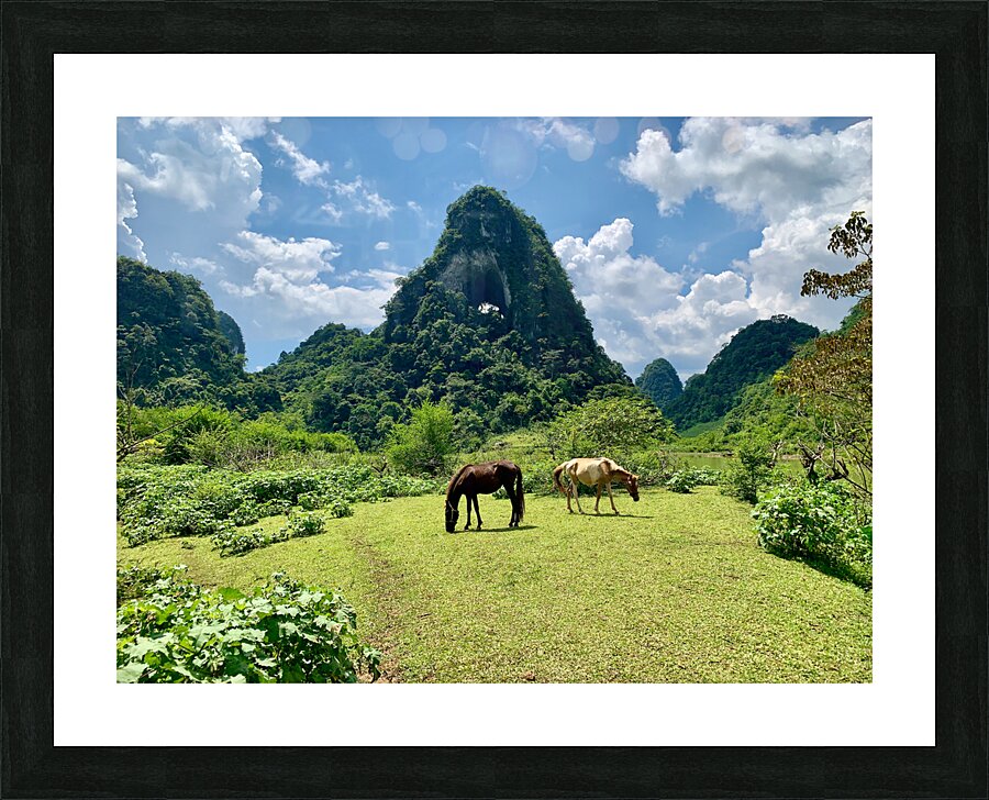 Horses by Angle Eye Mountain Picture Frame print