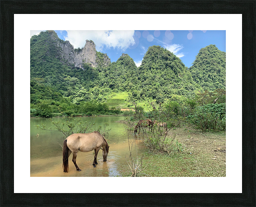 Horses in Paradise Picture Frame print