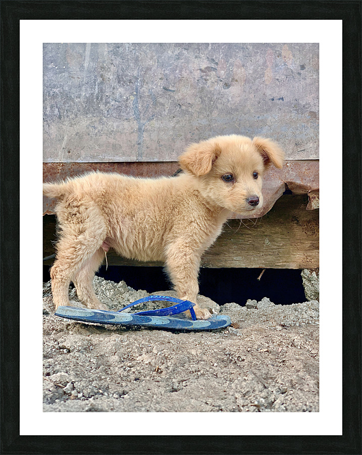 Flip Flop Puppy Picture Frame print