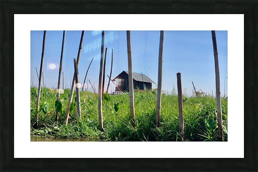 House behind the Bamboos Impression et Cadre photo