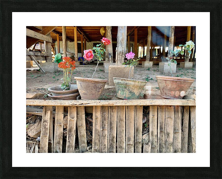 Flower Pots Picture Frame print