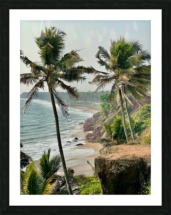 Palm Trees by the Beach Picture Frame print