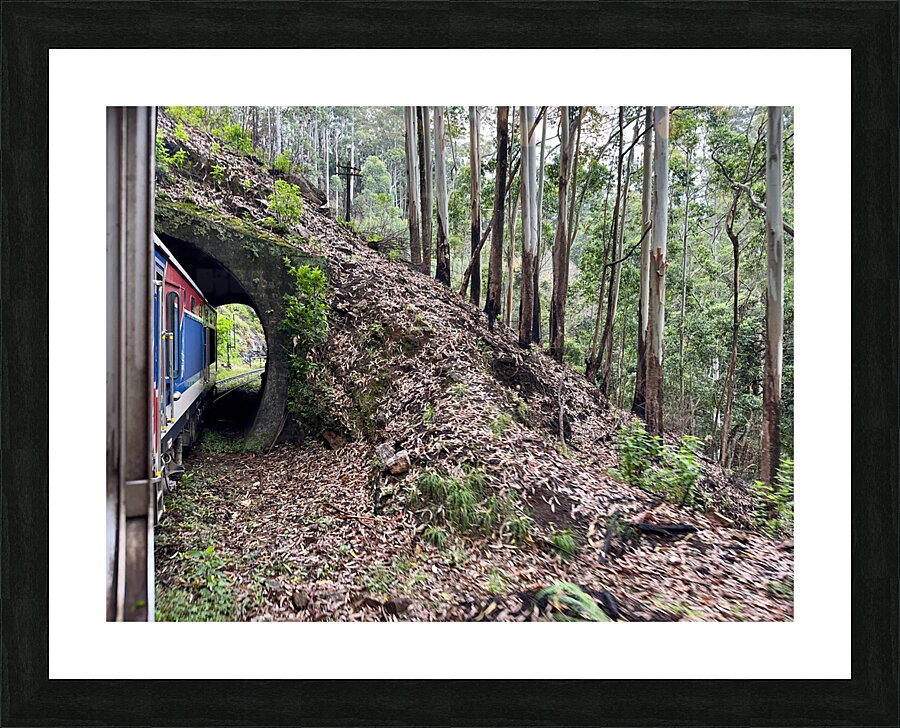 Train Through the Mini Tunnel Picture Frame print