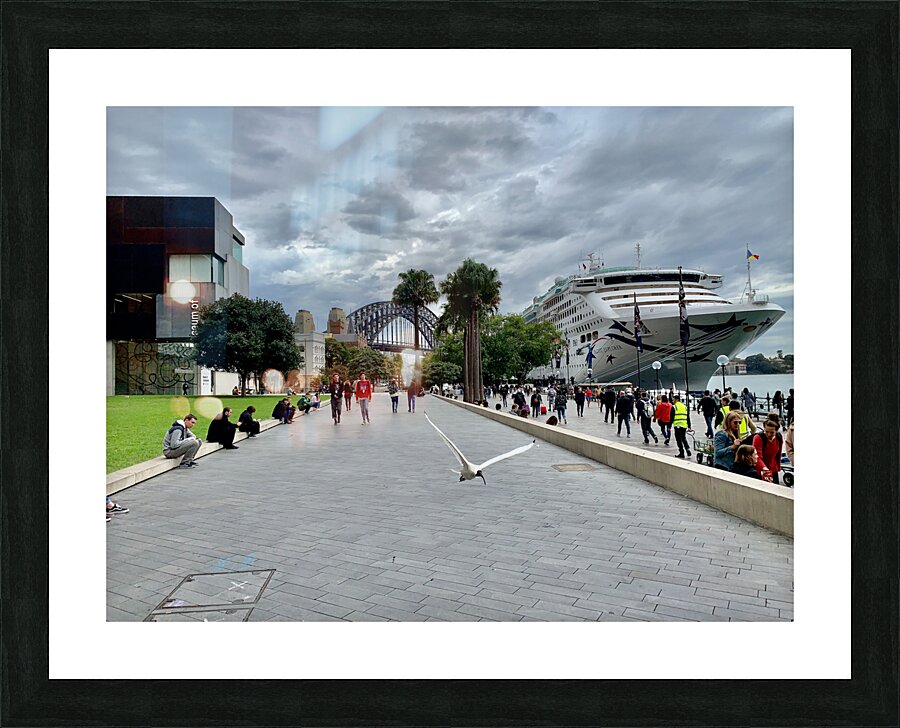 Fly for the Cruise Picture Frame print