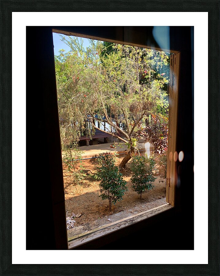 Tree by the Window 2 Picture Frame print