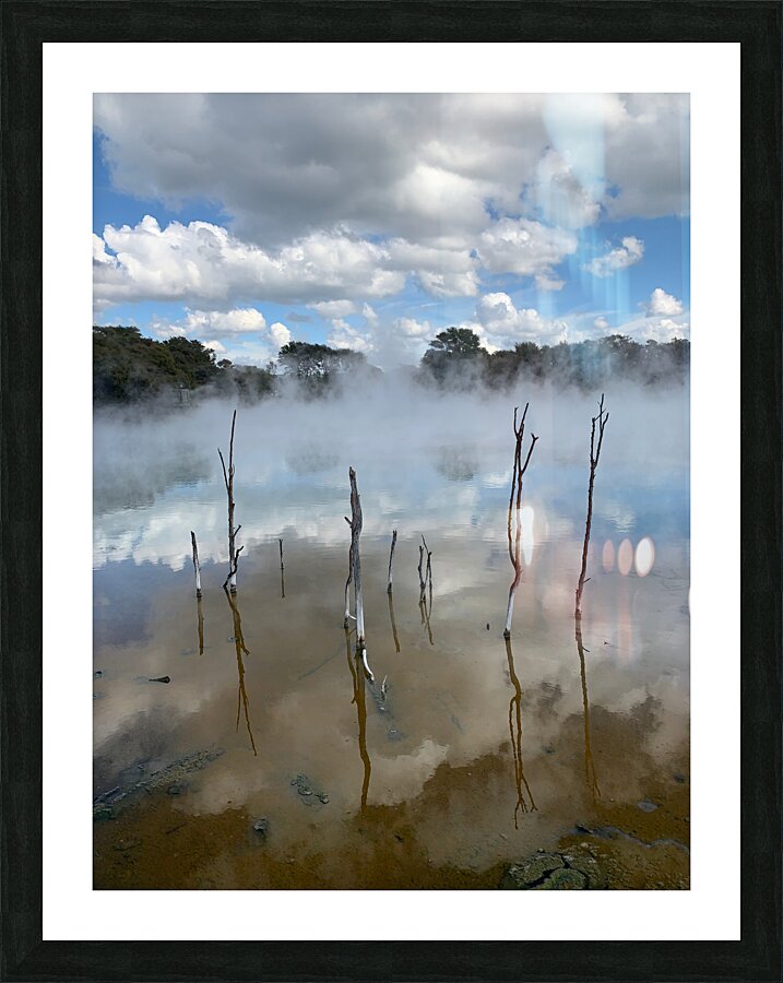 Branches reflections Picture Frame print