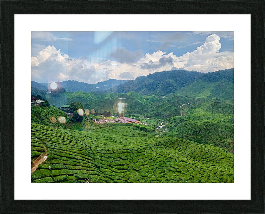 Tea Plantations 7 Picture Frame print
