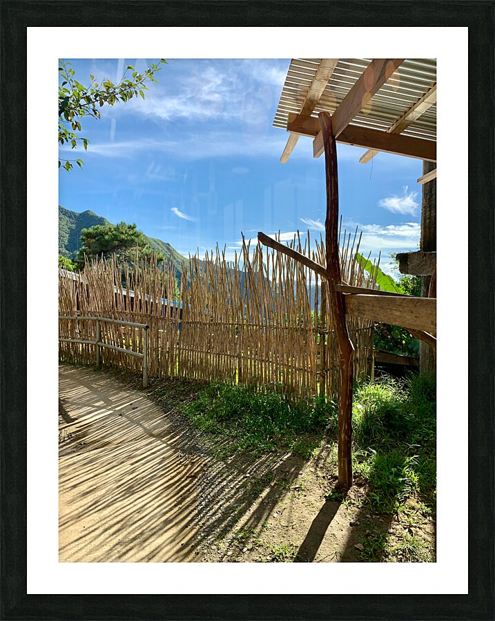 Sun Through the Bamboo Fence Picture Frame print