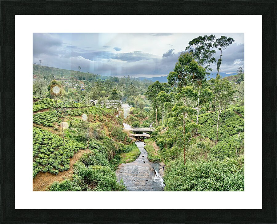 River Through the Tea Plantations Impression et Cadre photo