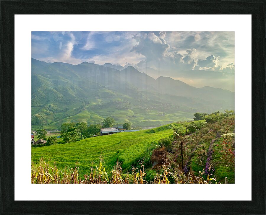 Dreamy Sunset Over the Rice Fields 2 Picture Frame print