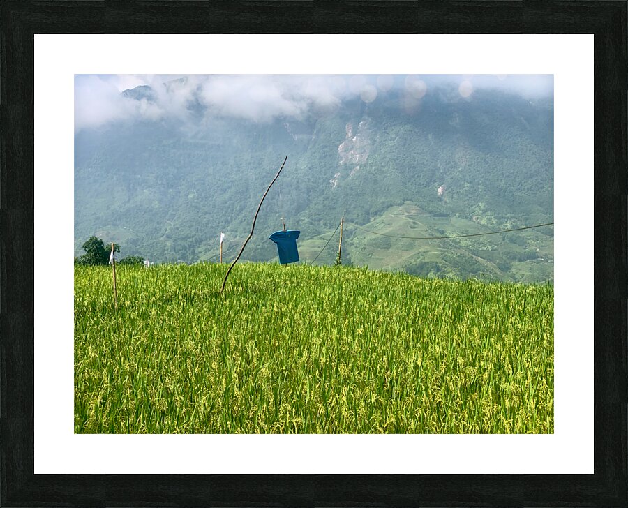 Asian Scarecrow Picture Frame print
