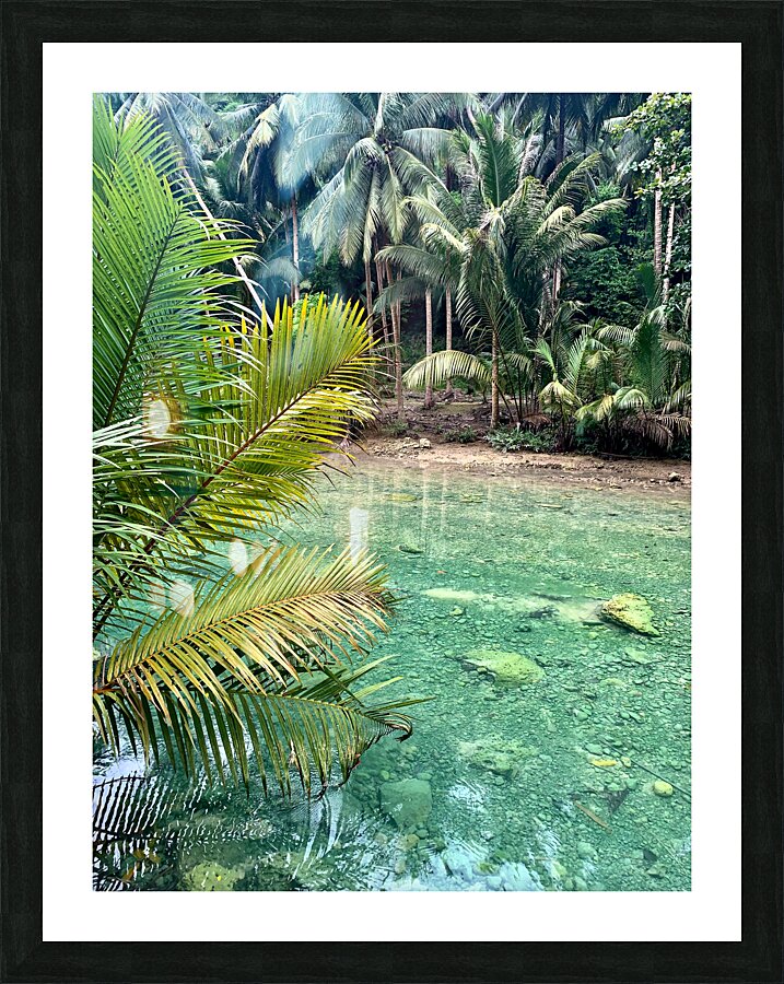 Blue Water in the Jungle Impression et Cadre photo