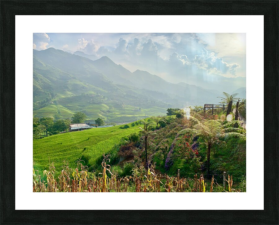 Dreamy Sunset on the Rice Fields Picture Frame print