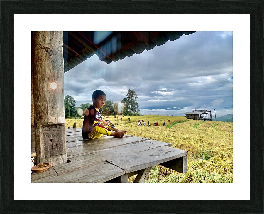 Boy Looking Over the Rice Field Picture Frame print