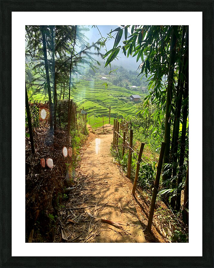 Enter the Rice Fields Picture Frame print
