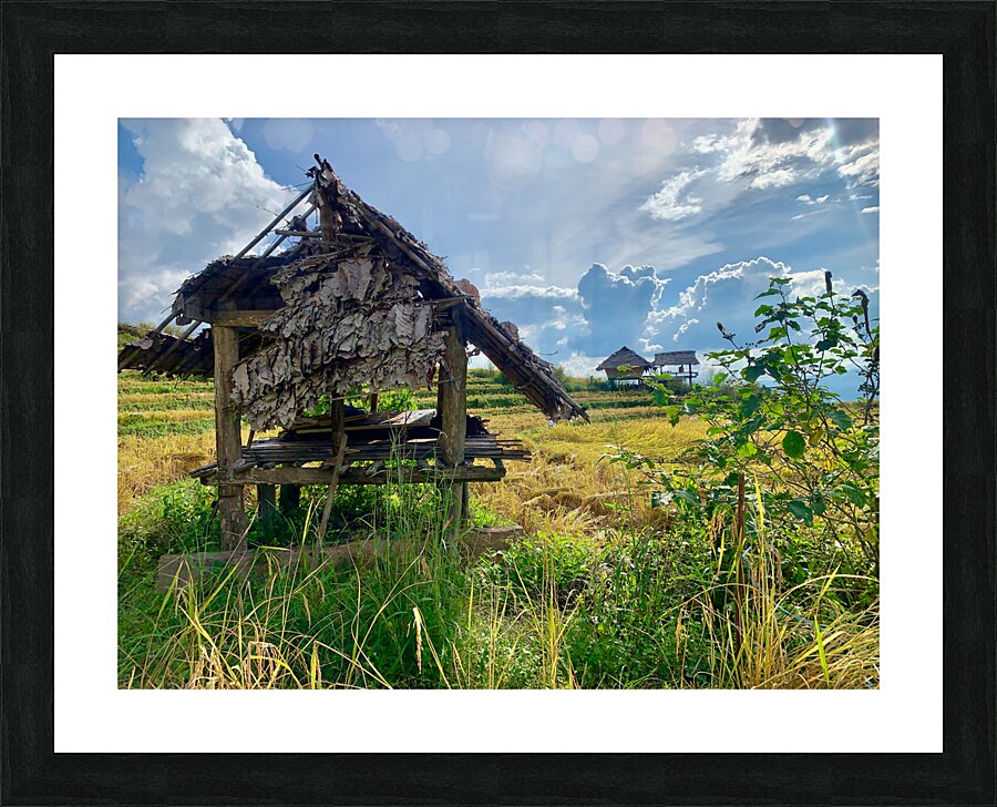 Shacks in the Rice Fields Picture Frame print
