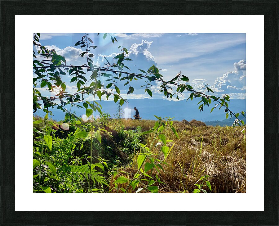 Working the Rice Fields Picture Frame print