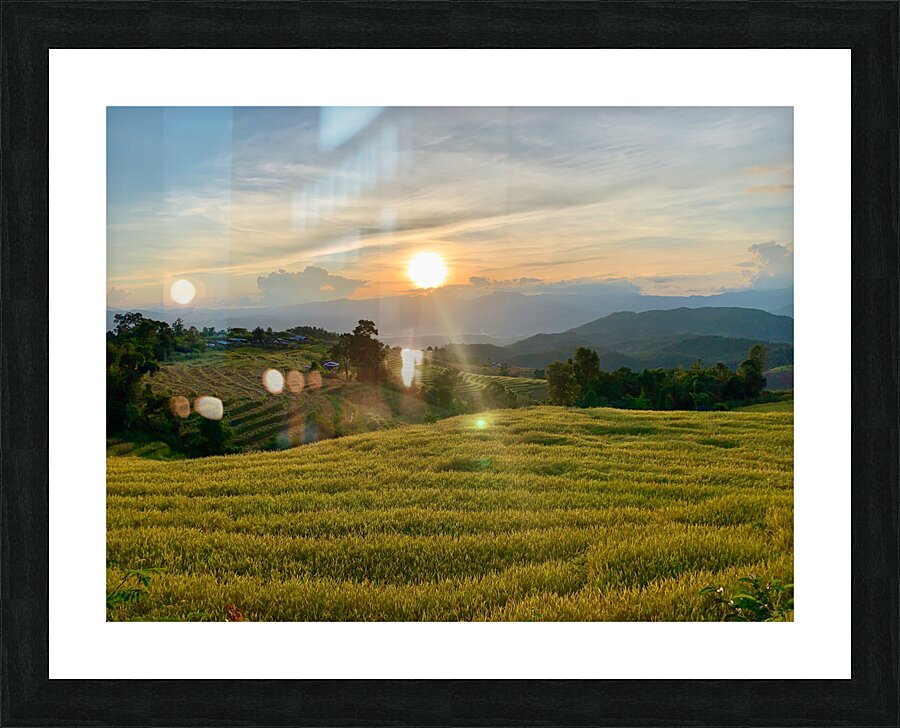 Sunset over the Rice Fields Picture Frame print