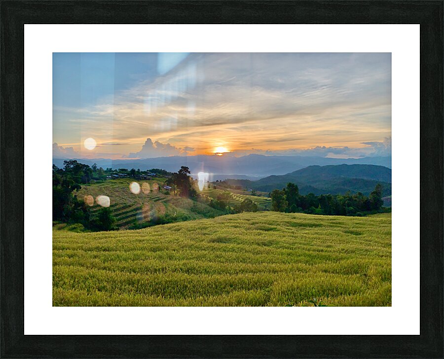 Sunset Over the Rice Fields 2 Picture Frame print