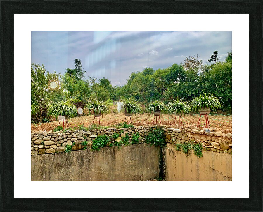 Plant Pots on a Stand Picture Frame print