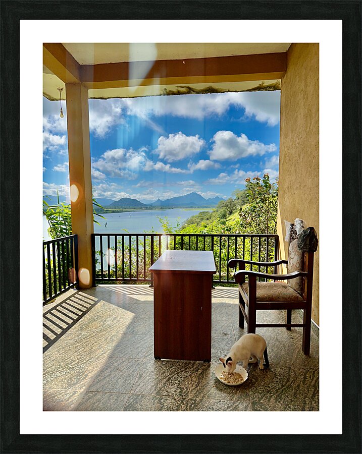 Cat Eating with a View Picture Frame print