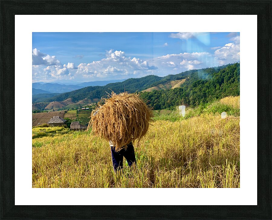 Behind the Rice Picture Frame print