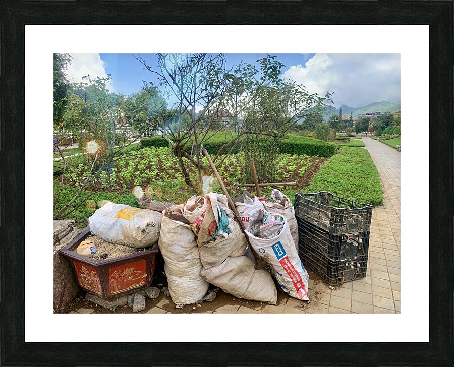 Lets Clean the Park Picture Frame print