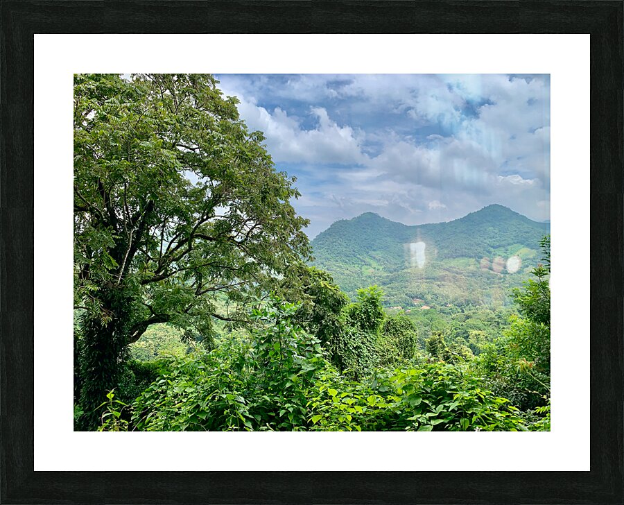 Jungle View Picture Frame print