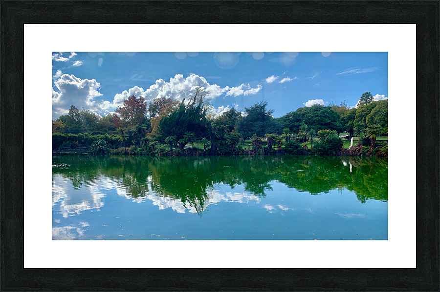 Nature s Own Reflection Picture Frame print