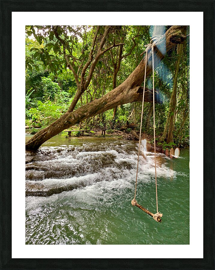 Swing in the Jungle Picture Frame print