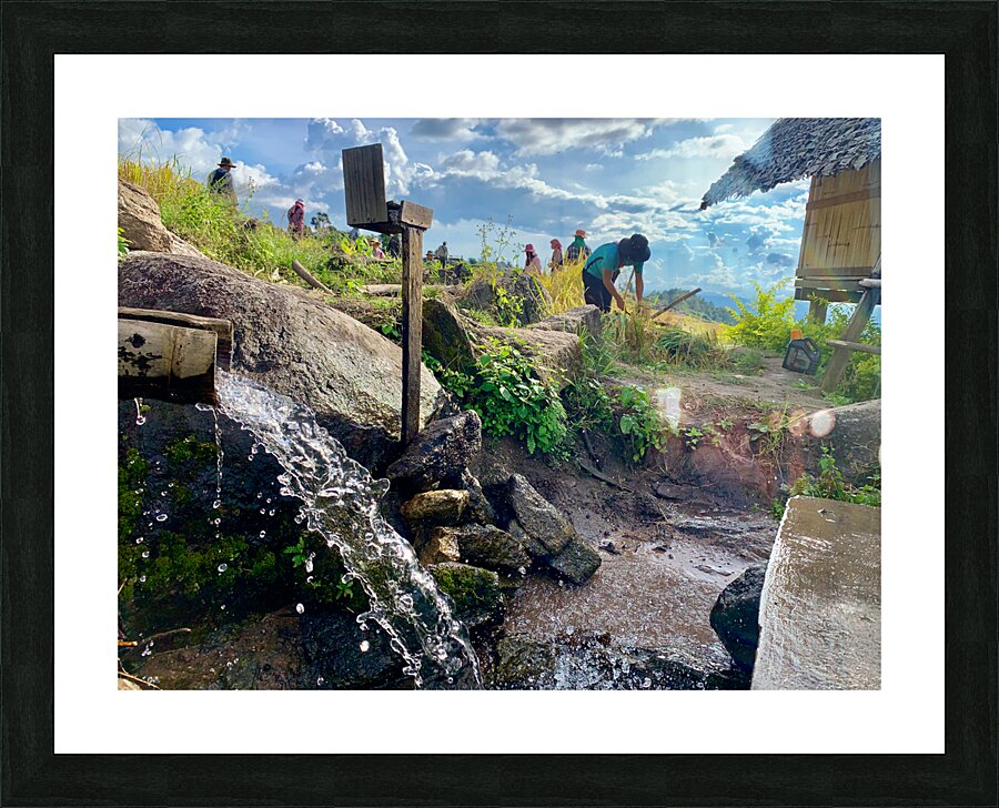 Water for the Rice Field Workers Picture Frame print