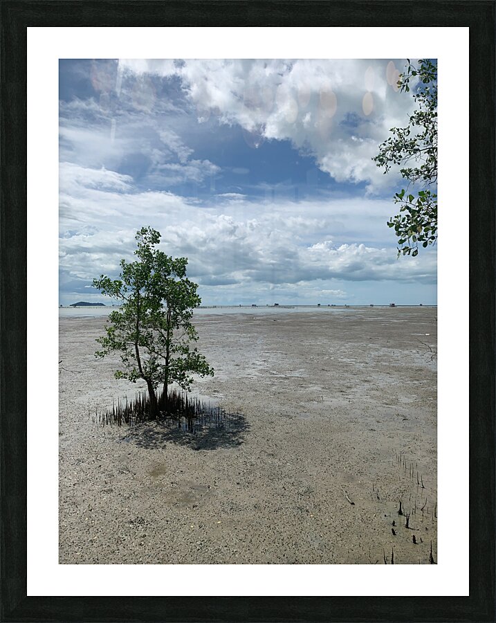 The Tree Impression et Cadre photo