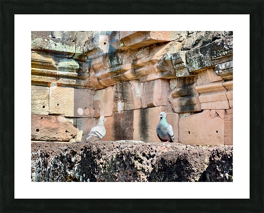 Birds in Historical Site Picture Frame print