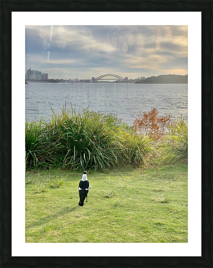 Bird Looking at the Bridge Picture Frame print