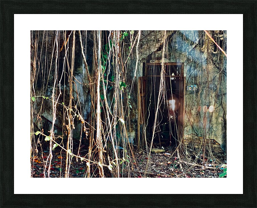 Find the Entrance Picture Frame print