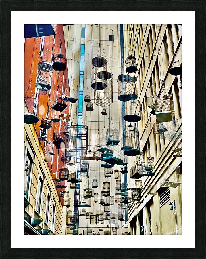 All the Cages Picture Frame print