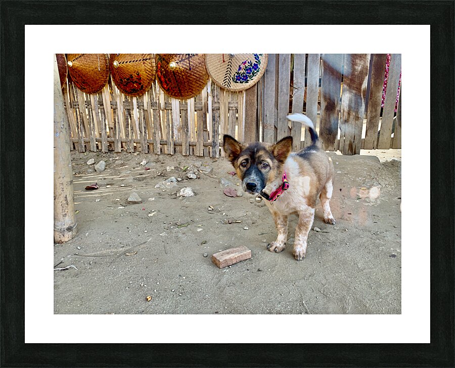 Sad Puppy Impression et Cadre photo