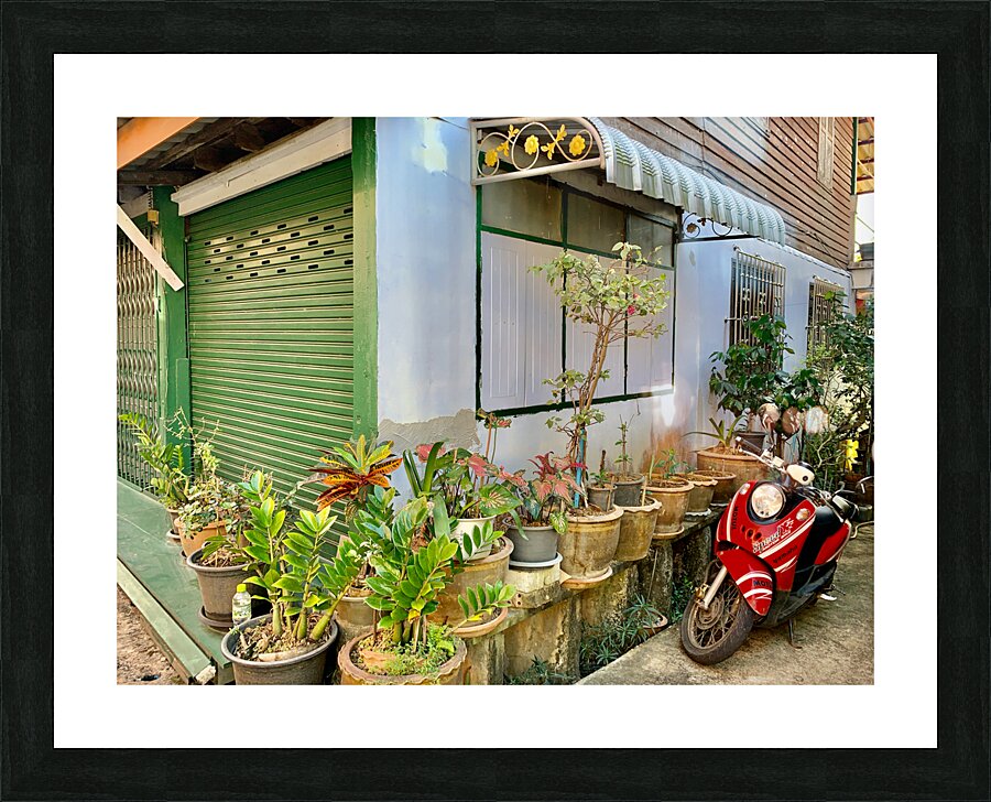 Plants on the Corner Picture Frame print