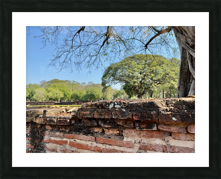 Nature Behind the Wall Picture Frame print