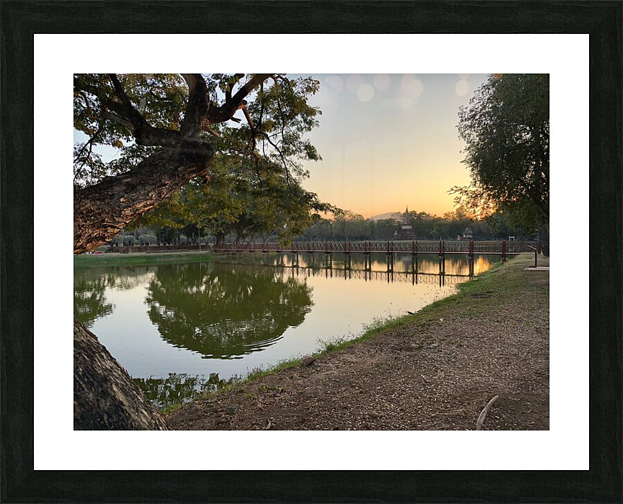 Perfect Tree Reflection During Sunset Picture Frame print